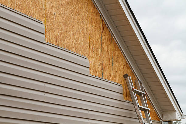 Professional Siding Inspection technician working in Navarre, FL